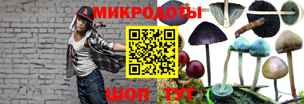 Псилоцибиновые грибы MAGIC MUSHROOMS  Вход с VPN  Шатура 