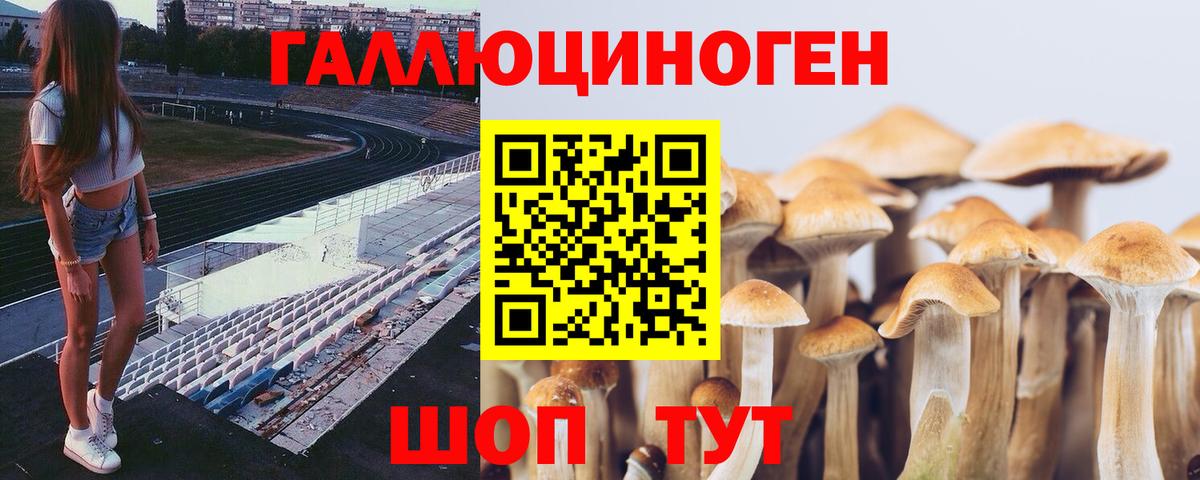 Псилоцибиновые грибы мухоморы Шатура
