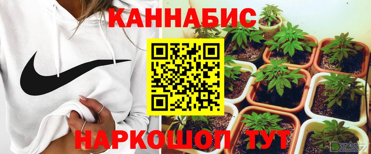 Шишки марихуана индика  Канабис Ganja  Шатура  Каннабис тримм  Марихуана ГИДРОПОН  Вход с VPN 